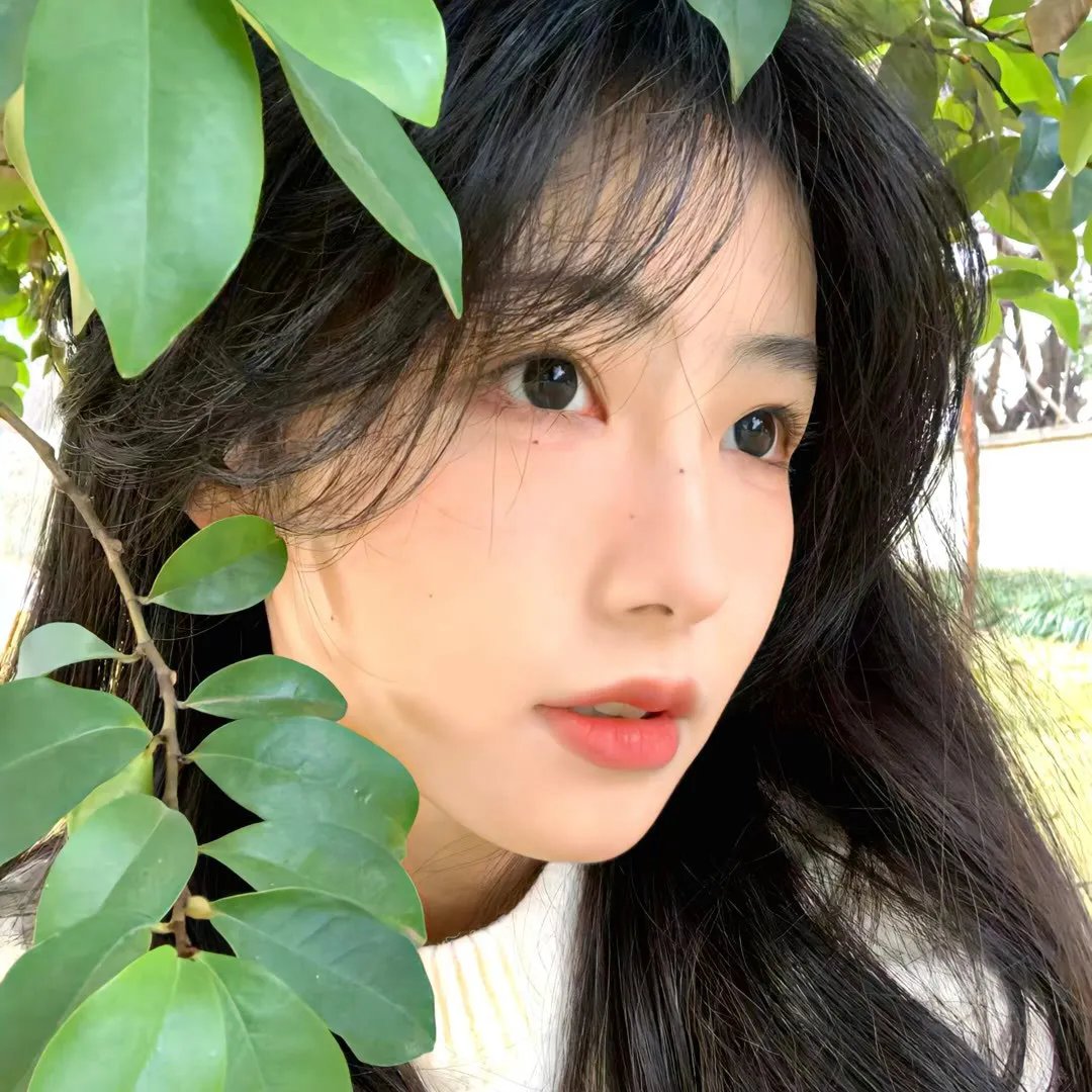 白色诅咒